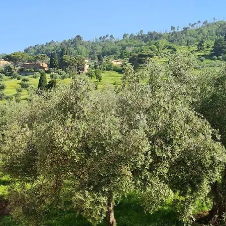 Sardini